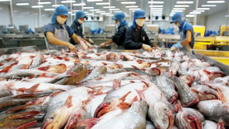 Launching trading website and farming e-map of Tra fish 