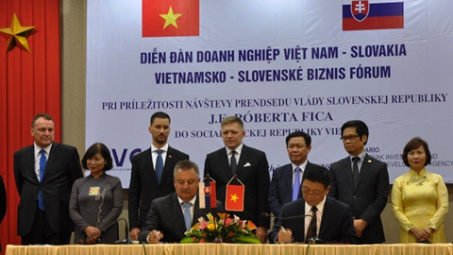 Vietnam, Slovakia promote economic ties 
