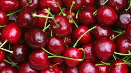 Opening Canadian cherry festival in Ho Chi Minh City