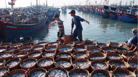Ninh Thuan develops maritime economy