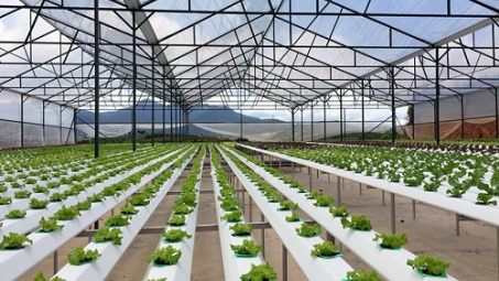 PM okays 4.4 billion USD package for high-tech agriculture
