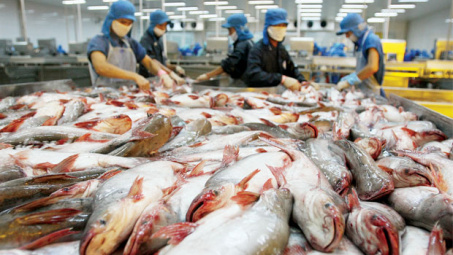 DOC kết luận rà soát thuế chống bán phá giá cá tra – cá basa lần thứ 12