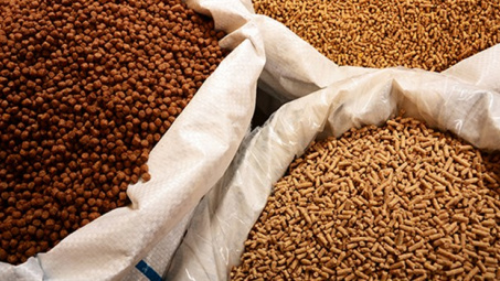 Không sử dụng kháng sinh trong thức ăn thủy sản