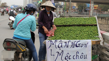 Thị trường hoa quả: Hàng mới, lạ hút khách 
