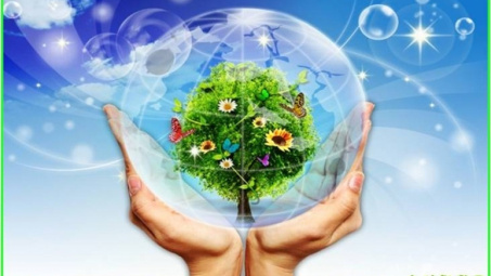 Khẩn trương ban hành Kế hoạch hành động bảo vệ môi trường