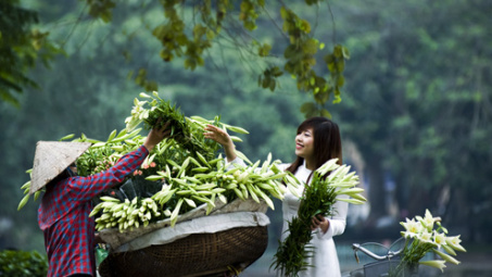Nhan nhát vị gió chuyển mùa