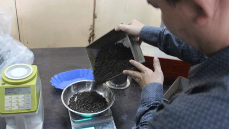 Khuyến công Gia Lai hỗ trợ kỹ thuật chế biến hồ tiêu