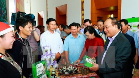3 định hướng phát triển ngành dược liệu Việt Nam