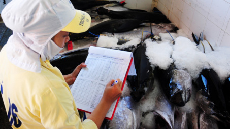 Cá ngừ Việt Nam xuất khẩu sang gần 140 nước 