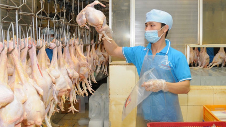 Việt Nam xuất khẩu lô thịt gà đầu tiên sang Nhật Bản vào tháng Tám