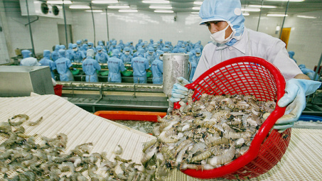 Úc nới lỏng lệnh tạm ngừng nhập khẩu tôm và thịt tôm chưa nấu chín