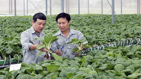 Định vị Việt Nam trở thành nhà sản xuất thực phẩm lớn trên thế giới