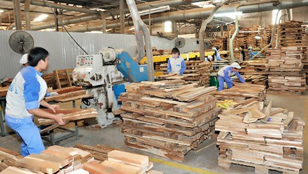 Xuất khẩu gỗ vào châu Âu nhiều triển vọng khả quan