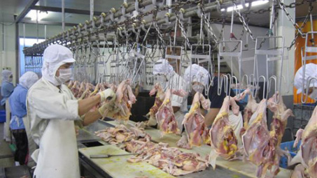 Vietnam gets nod to export poultry to Japan