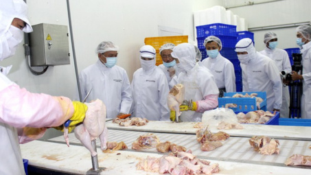 Nhật Bản chính thức đồng ý nhập khẩu thịt gà Việt Nam