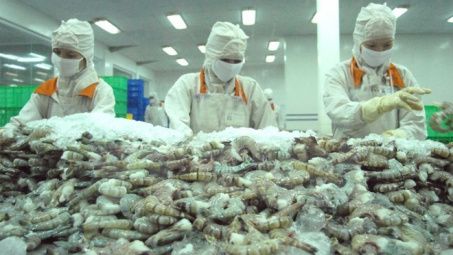 Úc thông báo chuẩn bị hết hiệu lực lệnh tạm ngừng nhập khẩu tôm sống và ra điều kiện mới