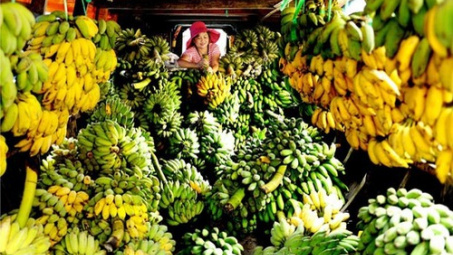 Xuất khẩu sang Trung Quốc tăng mạnh