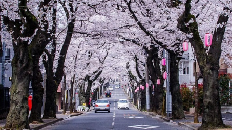 Japan’s Chiba eyes enhanced links with Vietnamese localities