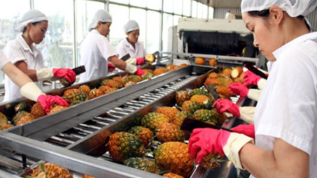 Lam Dong to set up 11 sustainable agriculture production chains