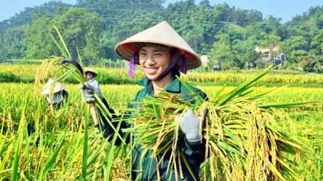 Agriculture sector targets 33 billion USD from exports in 2017