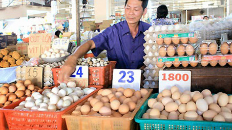 HCM City plans to trace poultry origins