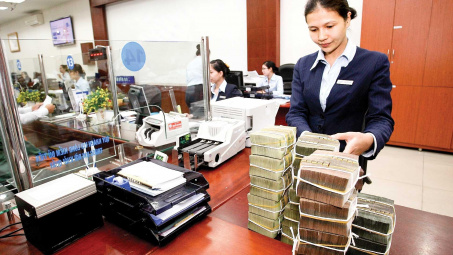 Retail sale segment- delicious cake for domestic, foreign banks