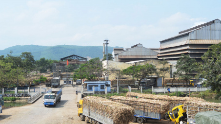 Tuy Hoa sugar factory to enhance production capacity