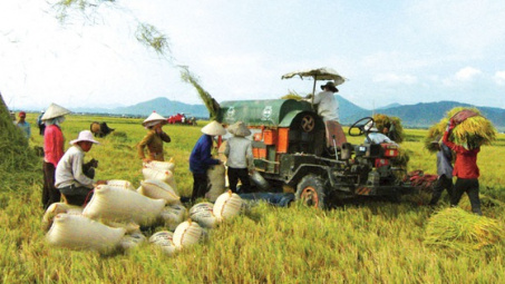 Ninh Thuan invests 1.2 billion VND to agricultural industrialisation