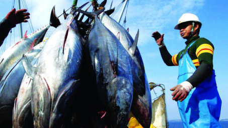 Tuna export revenue surges 21 percent