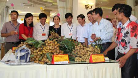 Hưng Yên:Chuẩn bị Hội  nghị Kết nối cung cầu hàng hóa năm 2017 