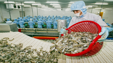 Vietnam’s shrimp exports to China surge 30 percent in first half