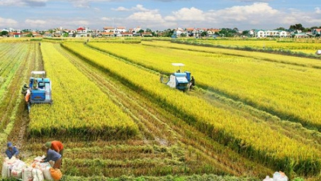 Can Tho, Japan seek cooperation opportunities in agriculture
