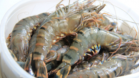 Hoa Kỳ hủy bỏ một phần của đợt Rà soát hành chính Thuế CBPG đối với một số sản phẩm Tôm nước ấm đông lạnh nhập khẩu từ Việt Nam