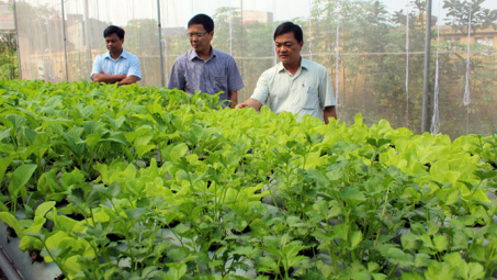 Bac Giang invests 1.5 trillion VND in hi-tech agriculture