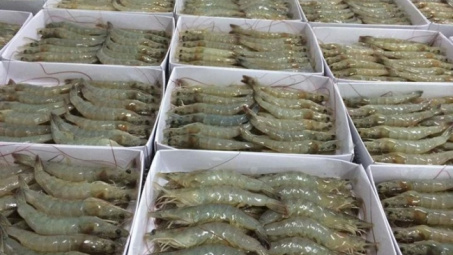 US rescinds part of antidumping duty review on frozen shrimp from Vietnam