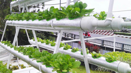 Ministry recognises 28 high-tech agricultural firms