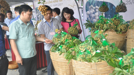 Tuần lễ Nhãn lồng Hưng Yên tại Hà Nội năm 2017