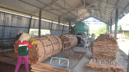 Quảng Trị: Nhân rông mô hình sản xuất sạch hơn trong công nghiệp