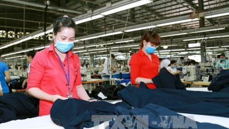 Free trade agreement helps boost Vietnam - EAEU trade