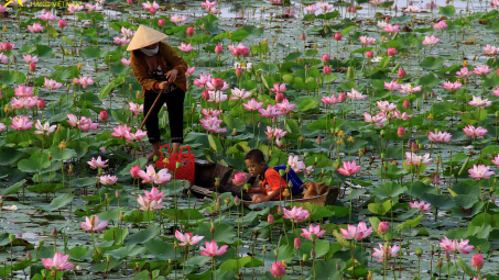 Các bức ảnh đẹp tham dự Hoạt động Bình chọn ảnh Tuần thứ Năm