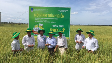 Phân bón Phú Mỹ cho cây Lúa tại Quảng Trị tăng năng suất thêm 10%