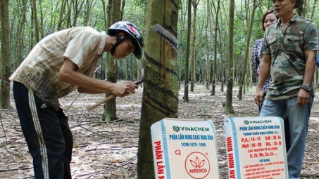 FMP Ninh Bình được Úc chứng nhận thích hợp cho nông nghiệp hữu cơ.