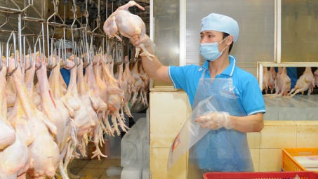 EU muốn nhập khẩu thịt gà chế biến Việt Nam 