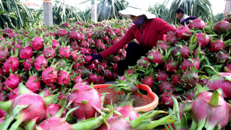 Vietnam-Australia trade rises 4.7 percent each year: MoIT