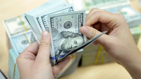 NA panel to supervise management of foreign loans