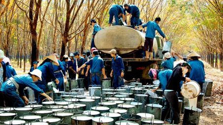 Agro-fishery-forestry export surges in first 8 months