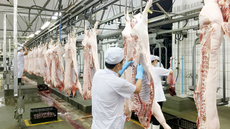 Experts: Production chains vital for pork industry