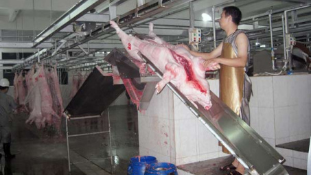 New circular delays modern slaughterhouses
