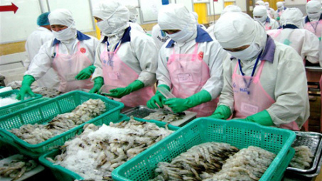 Price of material shrimp increases in August