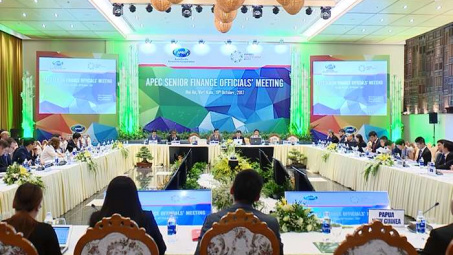 Vietnam has crucial role in APEC cooperation progress: Japanese expert